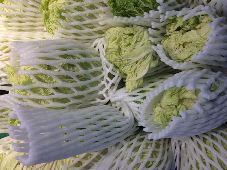 napa cabbage packaging for sell in supermarketの写真素材