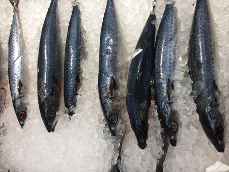 fresh fish arranged in plates for sale in local markets