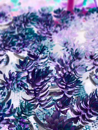 purple or violet texture pattern background, violet ultra concept