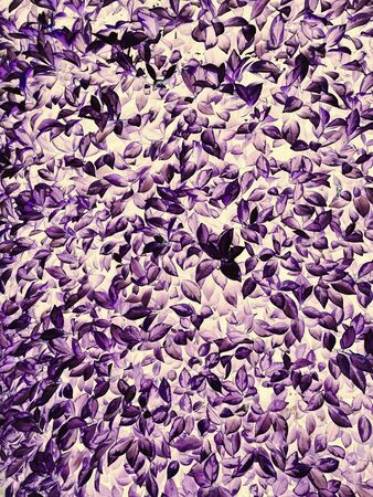 purple or violet texture pattern background, violet ultra conceptの写真素材