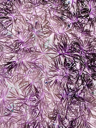 purple or violet texture pattern background, violet ultra concept