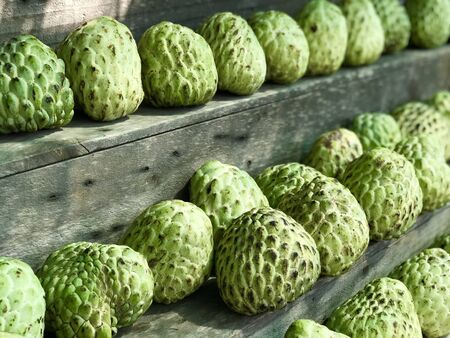 close up  custard apple sell in organic fruit market, topical fruit in Thailand