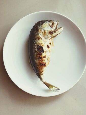 Fresh Mackerel on plate, sea food product in Thailandの写真素材
