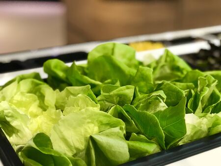 close up fresh vegetable salad in salad bar, heath and organic food
