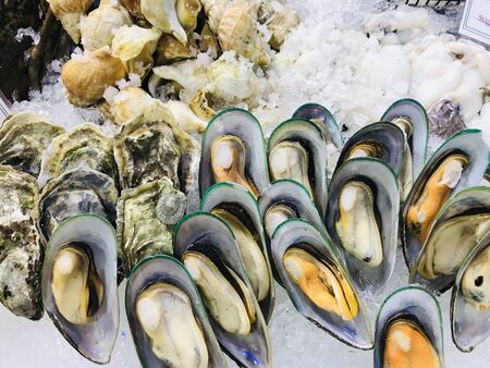 fresh mussel and other shellfishon ice for show and sell in the super marketの写真素材