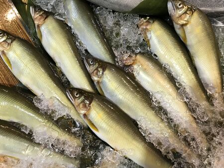 fresh fish arranged in plates for sale in super marketの写真素材