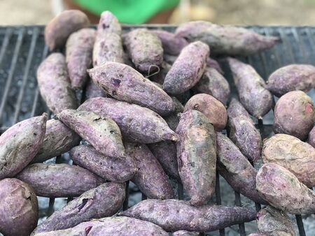 The picture of the purple sweet potato that has been grill for sale, agricultural productsの写真素材