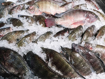 fresh fish arranged in ice for sale in super market, food travel and cuisine