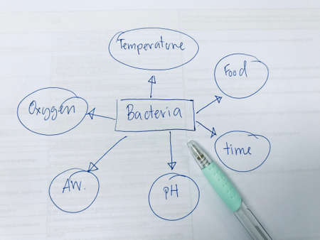 Factors that affect bacterial growth include temperature, food, time, ph, aw and oxygen, food safety...