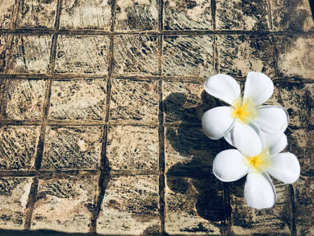 The picture of white champee flower floating in the stone bath gives a cool feeling.