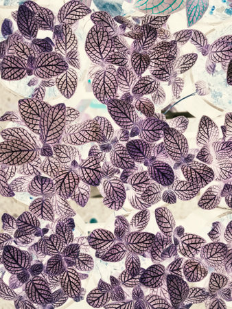 purple leave tree texture pattern background, violet ultra conceptの写真素材