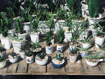 home and the graden decoration style, green nature desing by garden homeの写真素材