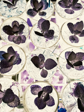 purple leave tree texture pattern background, violet ultra conceptの写真素材