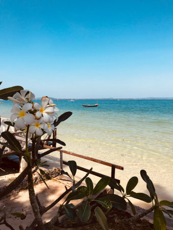 The image of the beach and the bright blue sea gives a feeling of being out and about.の写真素材