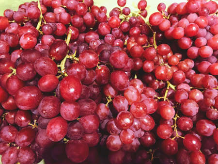 grape fruit texture pattern backgroundの写真素材