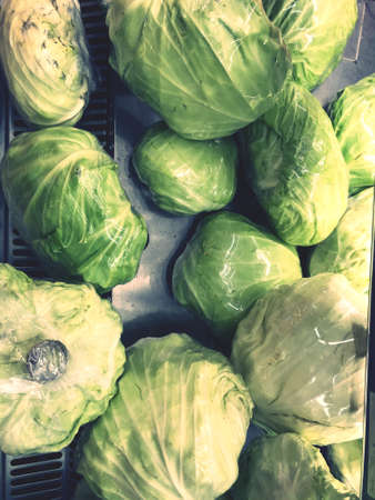 Close up raw fresh Cabbage put on shelf for sell in the market, fresh fruit and vegetableの写真素材