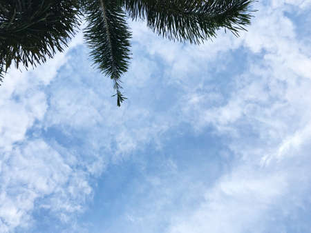 Sky and clound on bright day texture pattern background