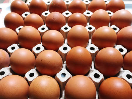 Picture of paper tray with holes for putting eggs for sale, healthy food