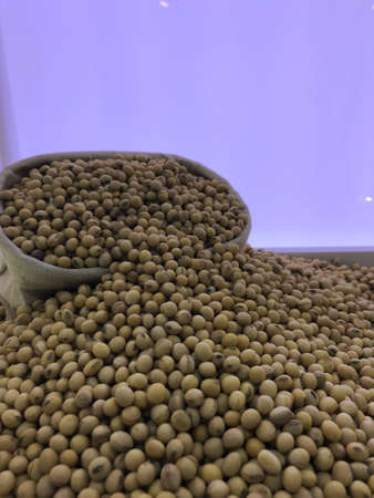 close up dried soybeans gain show case for sell in the market