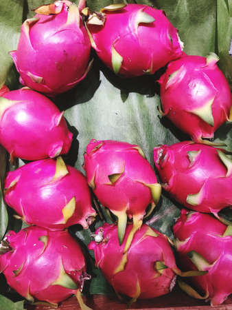 close up fresh dragon fruit sell in the market, dragon fruit is a pink fruits