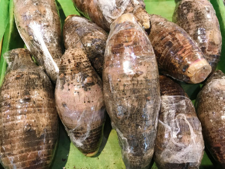 Fresh taro heads wrapped in plastic to be sold in markets or supermarkets.の写真素材