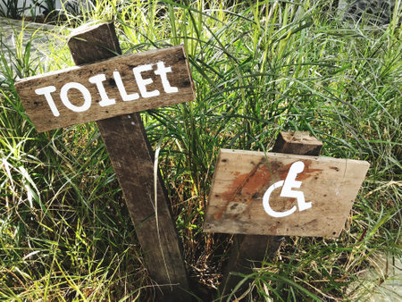 Wooden signs pointing the way to toilets and handicapped symbols