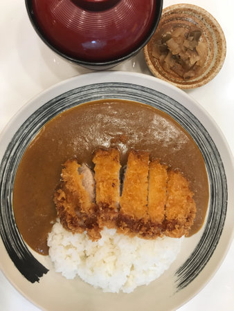 Image of fried pork rice topped with tonkatsu curry served hot in a Japanese-style dish.の写真素材
