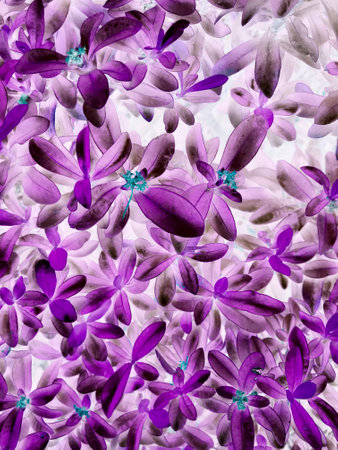 violet ultra texture pattern background, colorful from thr natureの写真素材