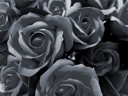 close up of a bouquet of roses in black and white toneの写真素材