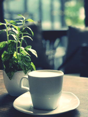 Coffee cup and mint plant on wooden table in coffee shopの写真素材
