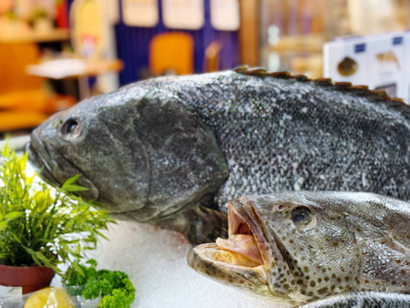 Fresh fish on ice in a restaurant. Shallow depth of field