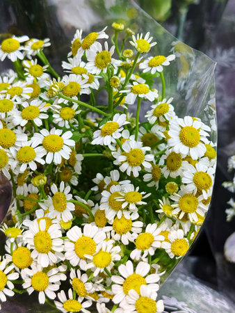 Bouquet of chamomile flowers in a vaseの写真素材
