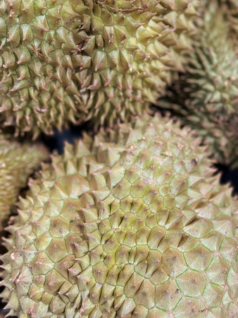 Close up of durian fruit in the market for background and texture