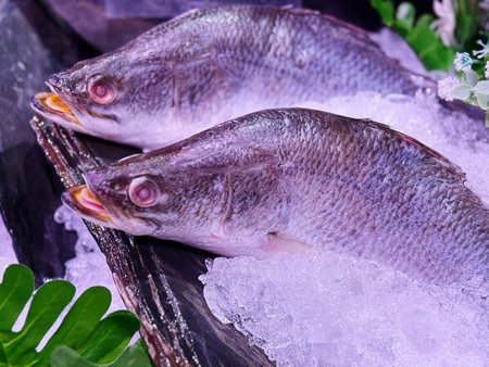 fresh fish on ice for sale at the fish market in thailand