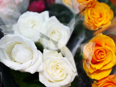 bouquet of white and orange roses in a flower shop.の写真素材
