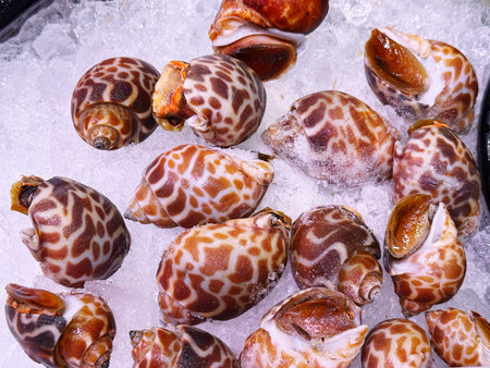 Seafood on ice in the market, closeup of photoの写真素材