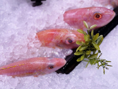 Fresh fish on ice in the supermarket. Close up. Selective focus.の写真素材