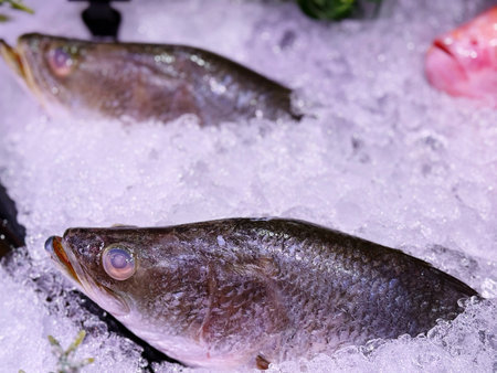 Fresh fish on ice in the market. Shallow depth of field.の写真素材
