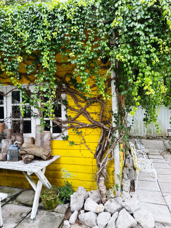 Old yellow house with ivy on the wall and table in the gardenの写真素材