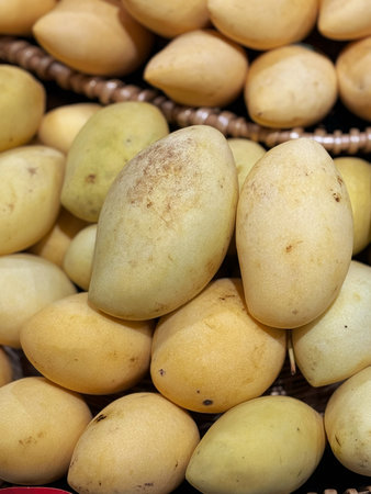 Mango fruit on the market in Thailand. (Scientific name Mangifera indica L.)の写真素材
