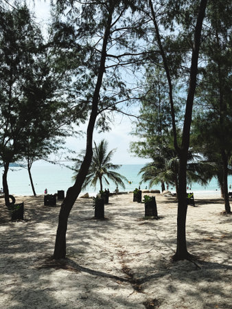 Coconut trees on the beach of Koh Samui, Thailand