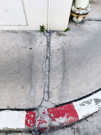 White and red traffic circle on the concrete floor with green plant.の写真素材