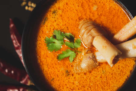 Indian style spicy Mutton or Lamb curry with spices, closeup viewの写真素材
