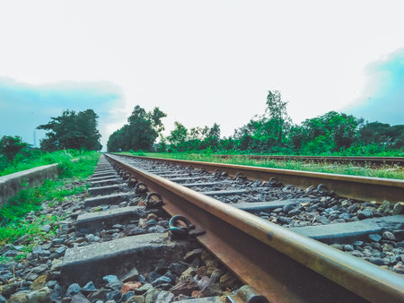 Two sets of railroad tracks run straight and parallel to a vanishing point on the horizon with green...