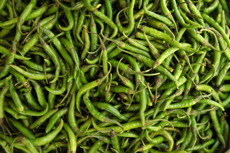 green chili peppers in the market on indiaの写真素材