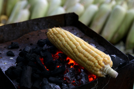 Fresh roasted or grilled corncobs. Grilled Corn for sale on the street.