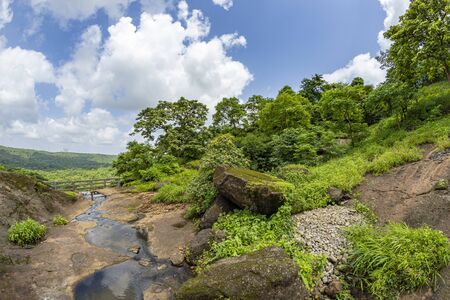View of the tropical forest in the Sanjay Gandhi National Park Mumbai Maharashtra India. Near kanheri caves in mumbai India .の写真素材