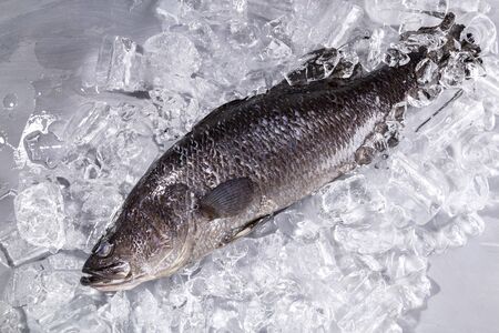 Fresh sea bass fish on ice on a black stone table top viewの写真素材