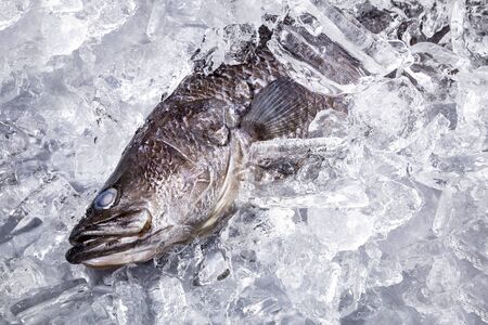 Fresh sea bass fish on ice on a black stone table top viewの写真素材