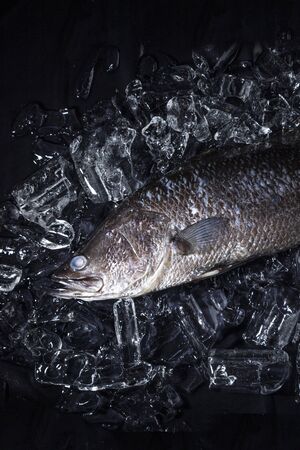 Fresh sea bass fish on ice on a black stone table top viewの写真素材